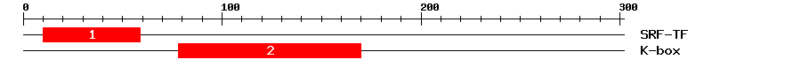 Signature Domain