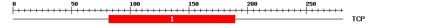 Signature Domain