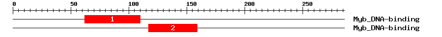 Signature Domain