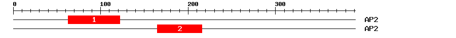 Signature Domain