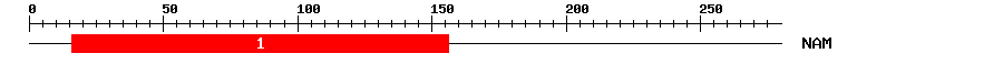 Signature Domain