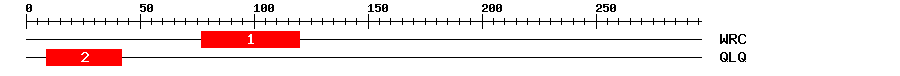 Signature Domain
