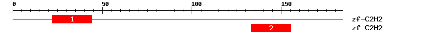 Signature Domain