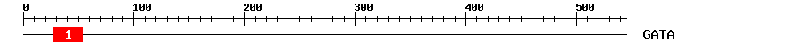 Signature Domain