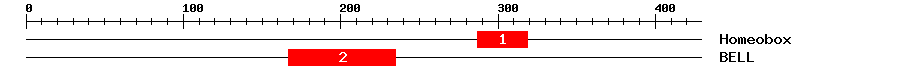 Signature Domain
