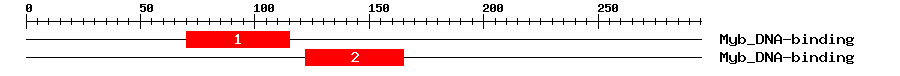 Signature Domain