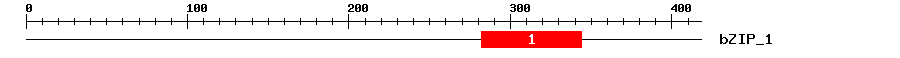 Signature Domain