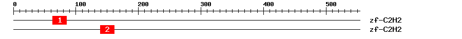 Signature Domain