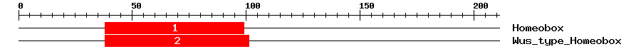 Signature Domain