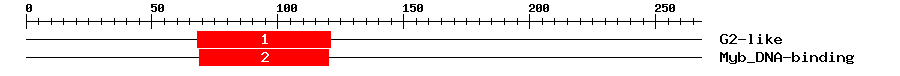 Signature Domain