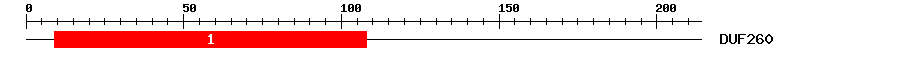 Signature Domain