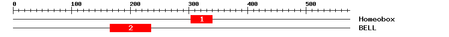 Signature Domain