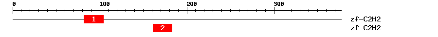 Signature Domain