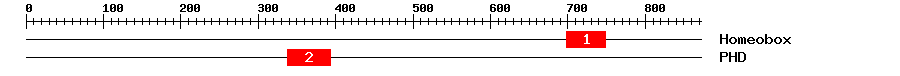 Signature Domain