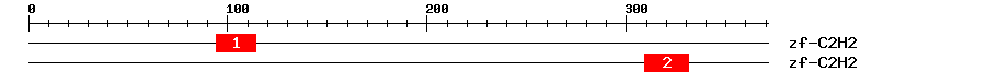 Signature Domain