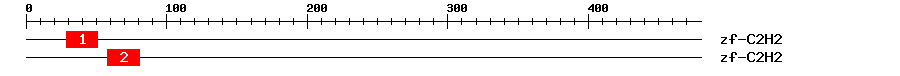 Signature Domain