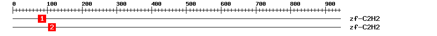 Signature Domain