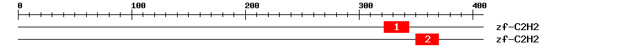 Signature Domain