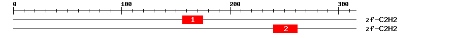 Signature Domain