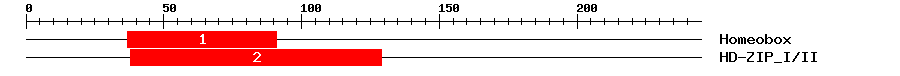 Signature Domain