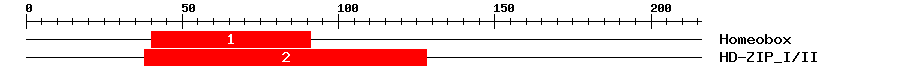 Signature Domain