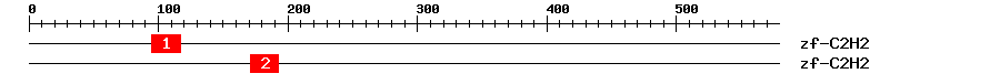 Signature Domain