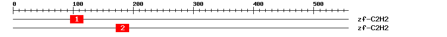 Signature Domain