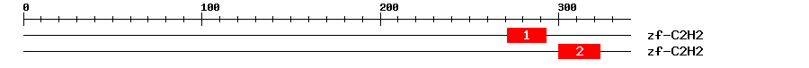 Signature Domain