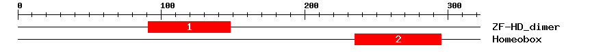 Signature Domain