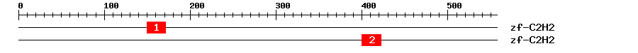 Signature Domain