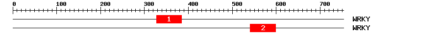 Signature Domain