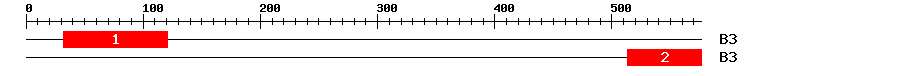 Signature Domain