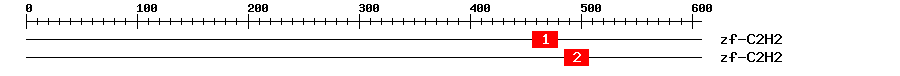 Signature Domain