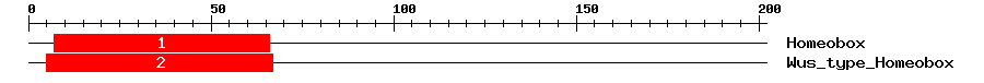 Signature Domain
