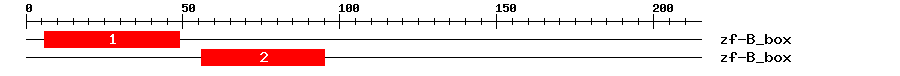 Signature Domain