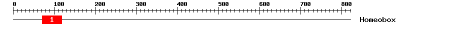 Signature Domain