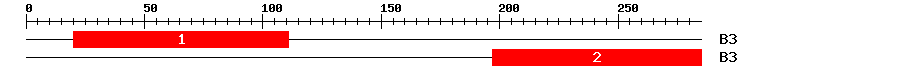 Signature Domain