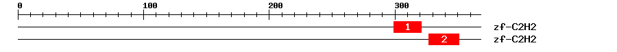 Signature Domain