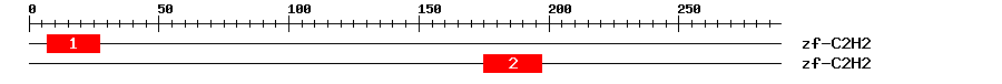 Signature Domain