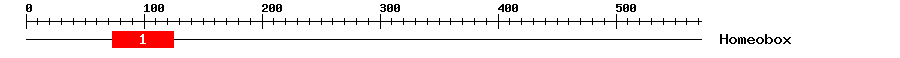 Signature Domain