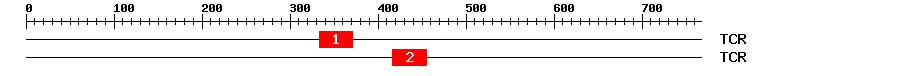 Signature Domain
