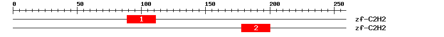 Signature Domain