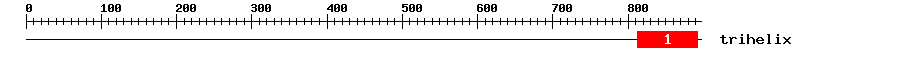 Signature Domain
