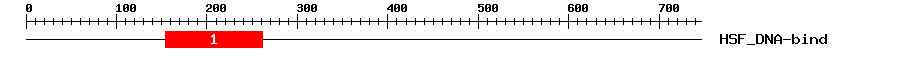 Signature Domain