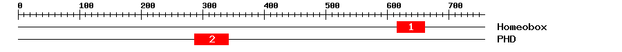 Signature Domain