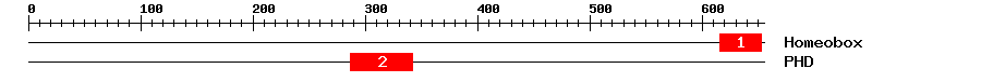 Signature Domain