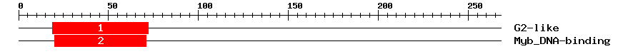 Signature Domain
