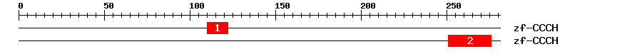 Signature Domain