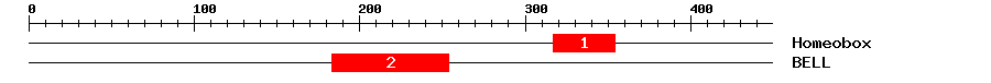 Signature Domain