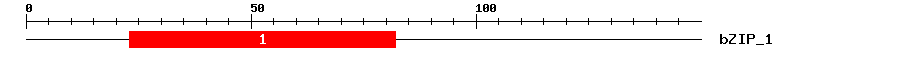 Signature Domain
